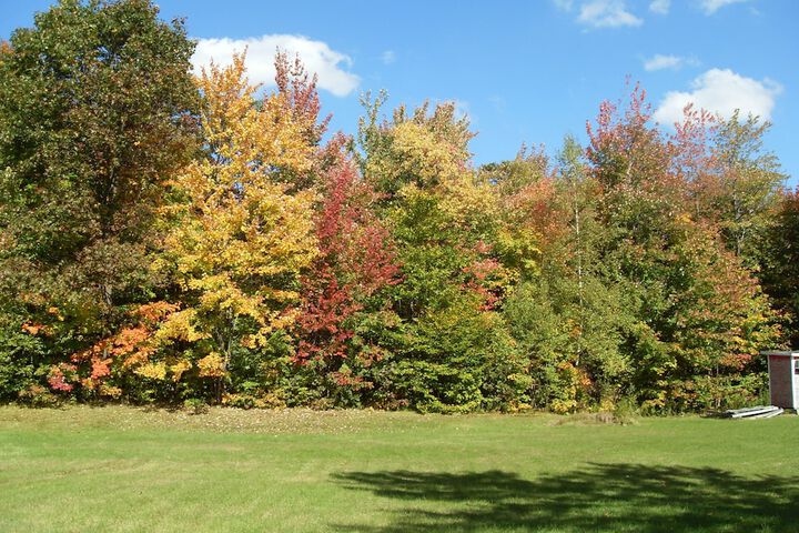 Property Grounds 34 of 43