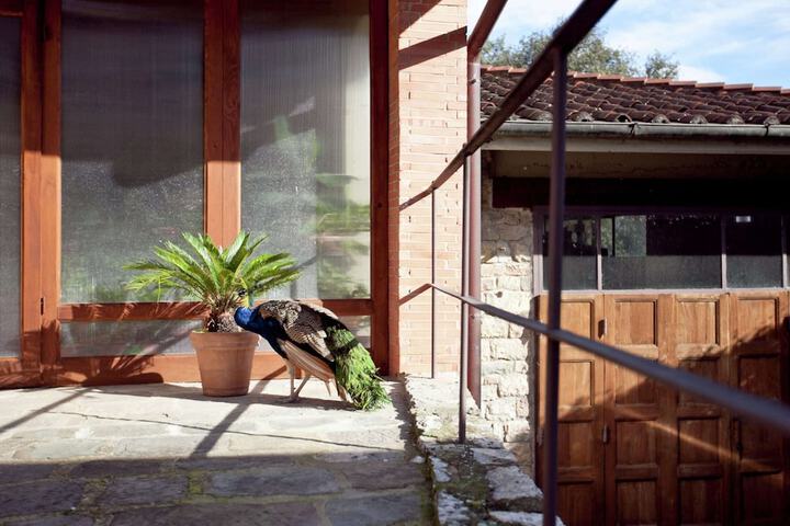 Terrace/Patio 39 of 110