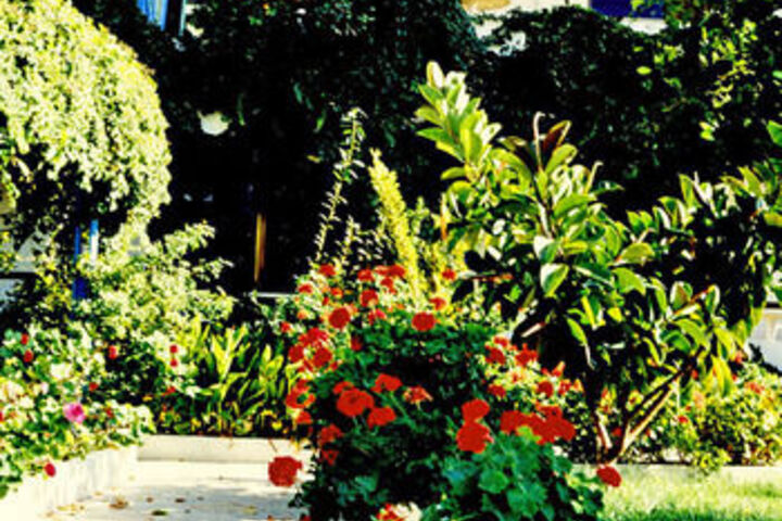 Property Grounds 26 of 29