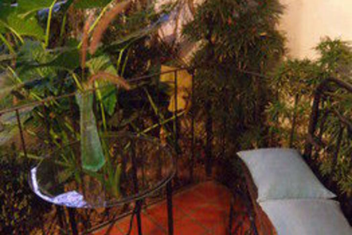 Terrace/Patio 34 of 34