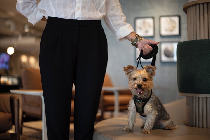 Pet-friendly