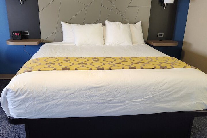 1 King Bed (13 of 19)
