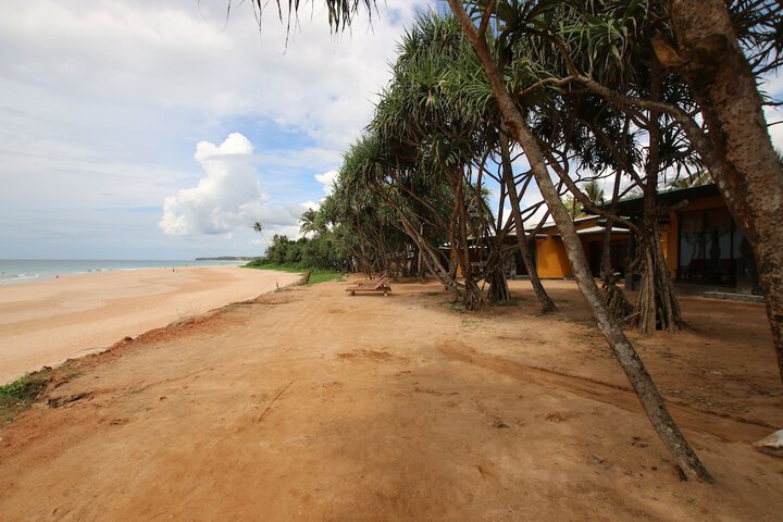 Beach 45 of 69