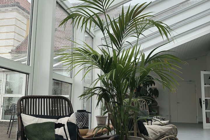 Sundeck 46 of 46