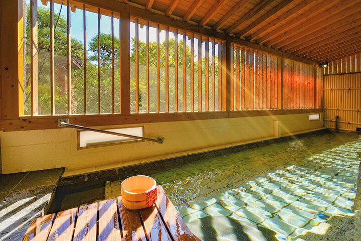Ooedo Onsen Monogatari Hotel Shinko