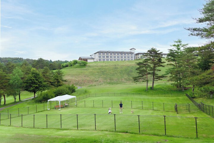 Hotel 141 of 162