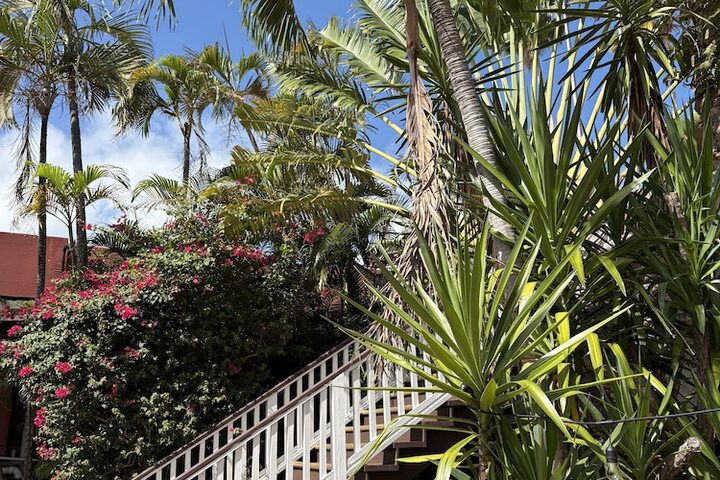 Hotel Exterior 31 of 37