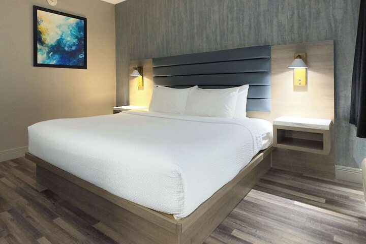 Standard 1 King Bed (1 of 30)