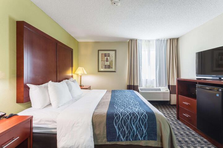 1 King Bed Accessible (5 of 12)