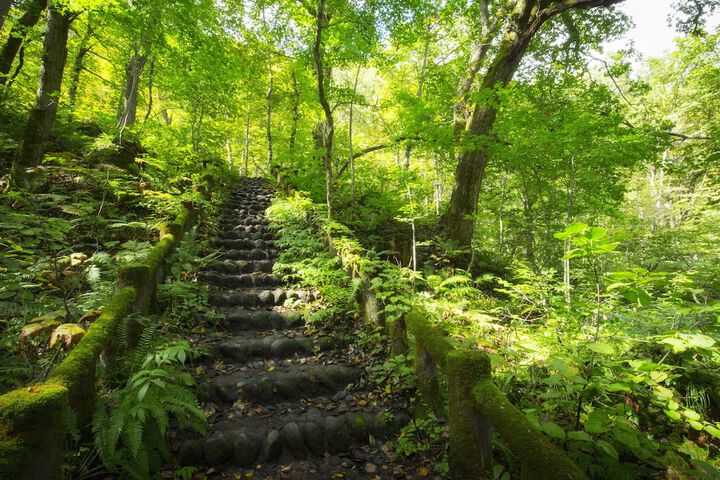 Hiking