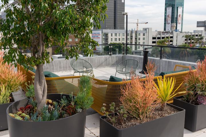 Sundeck 100 of 108