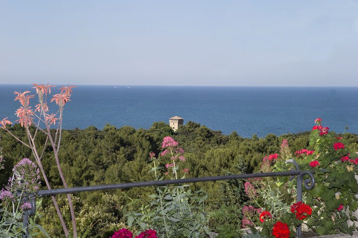 Hotel View 75 of 75