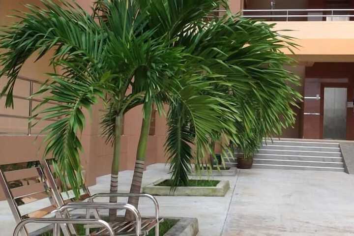 Hotel 59 of 61
