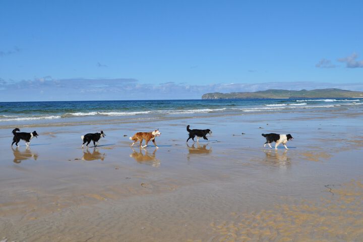 Beach 31 of 48