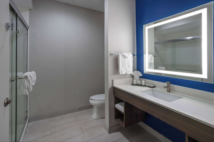 1 King Bed Mobility Hearing Accessible Room Roll in Shower (5 of 26)