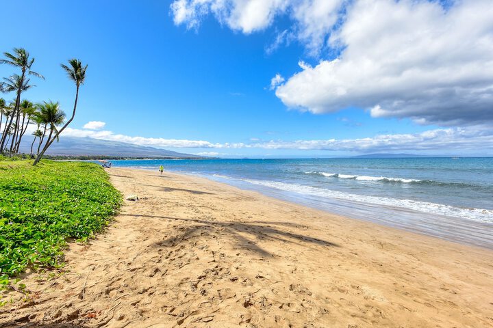 Beach 64 of 78