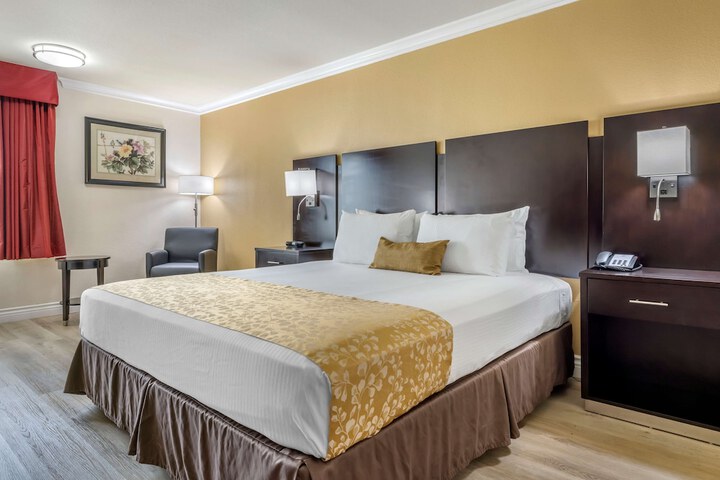 1 King Bed Refrigerator High Speed Internet Accessible Coffee Maker, Hairdryer Iron and Ironi (15 of 25)