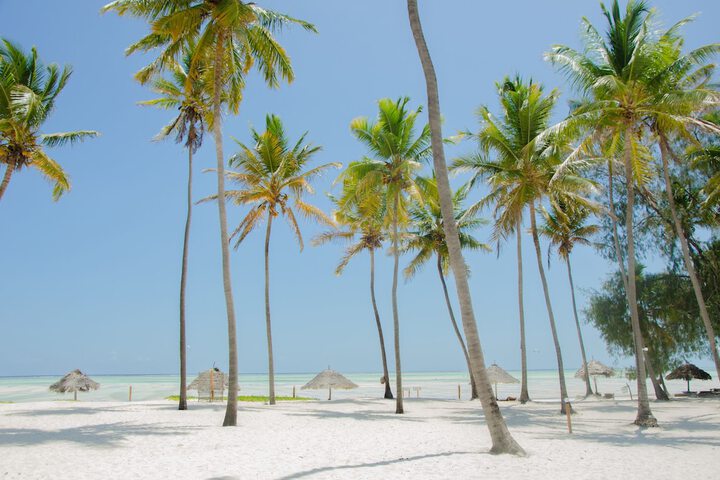 Beach 42 of 50