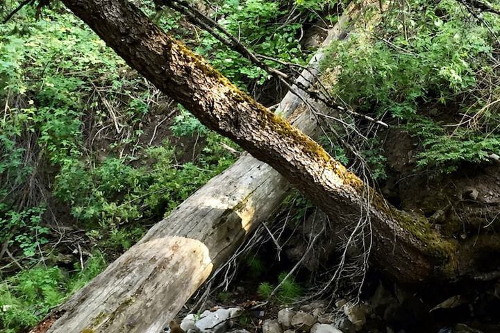 Property Grounds 17 of 26