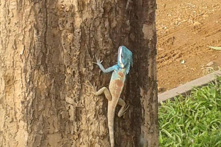 Spa and Wellness Pictures