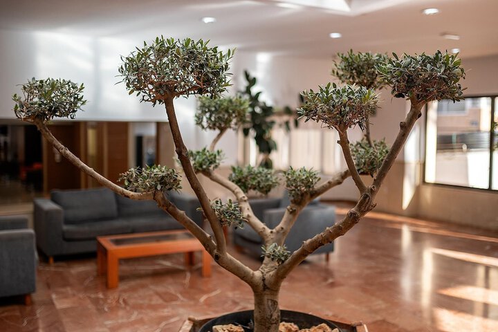 Lobby Entry