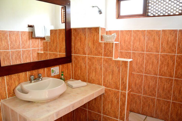 Bathroom Interior Photo