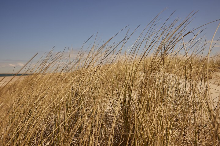 Beach 42 of 57