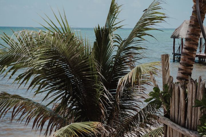 Beach 80 of 104