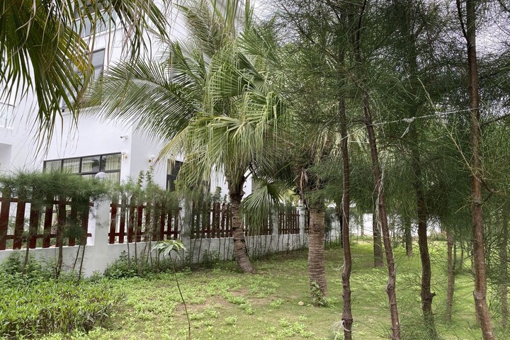 Property Grounds 24 of 24