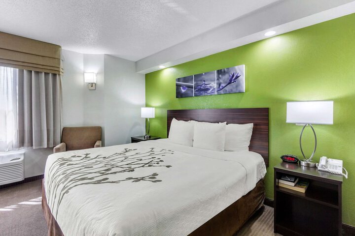 Standard | King Bed (10 of 16)