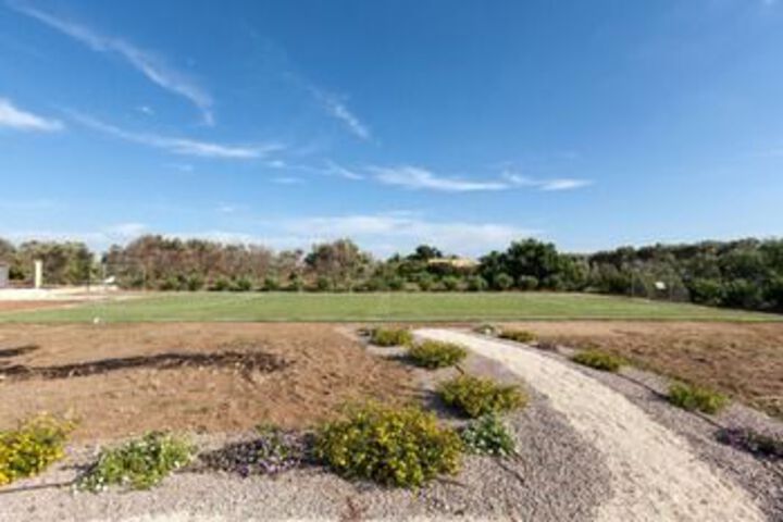 Property Grounds 18 of 20