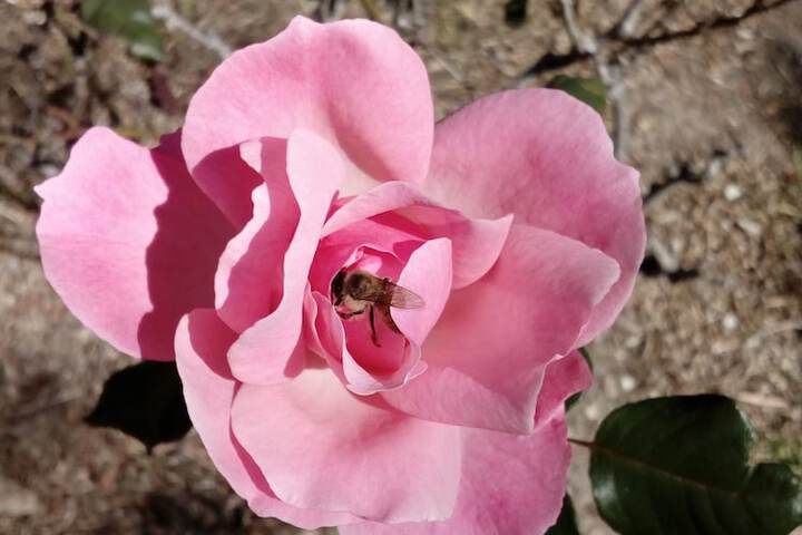 Hotel Exterior 59 of 62