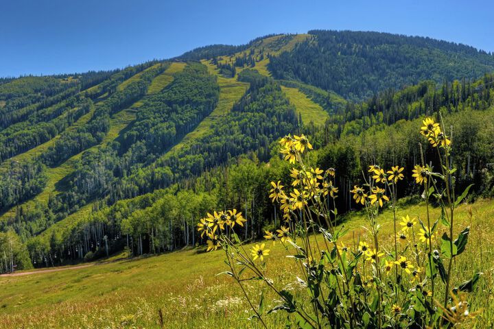 Outdoor Activities 61 of 96