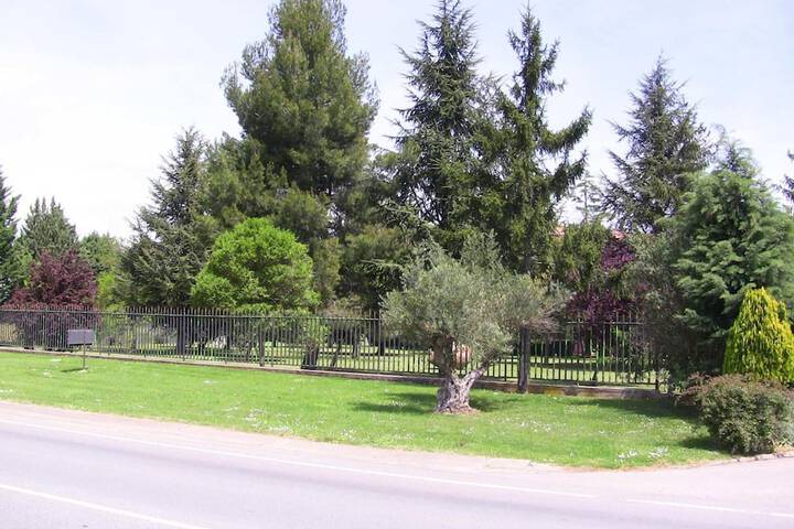 Property Grounds 16 of 41