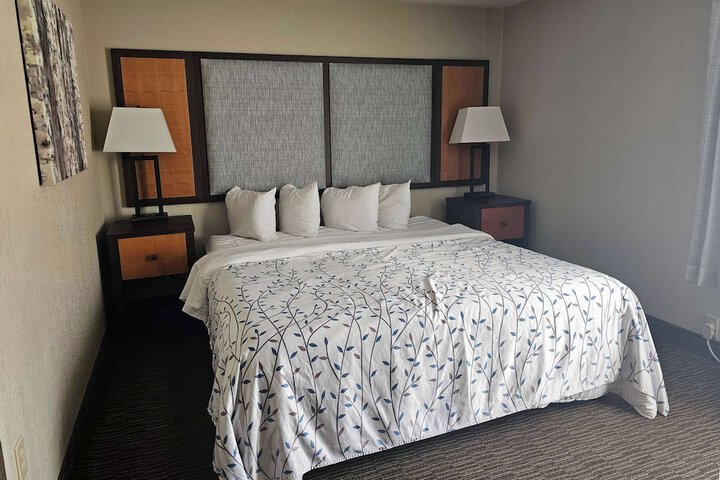 1 King Bed (4 of 5)