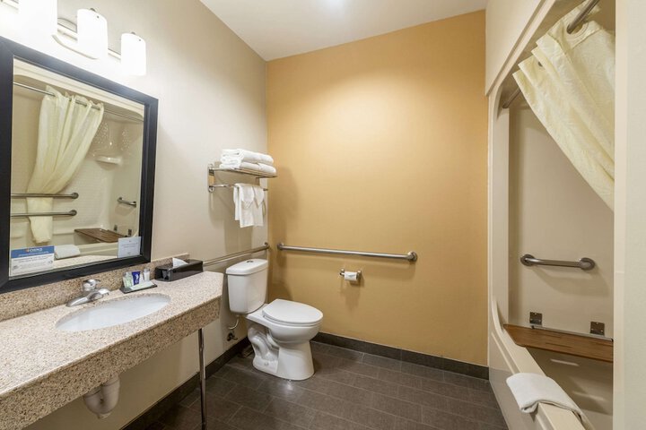 1 Queen Bed Accessible (10 of 14)