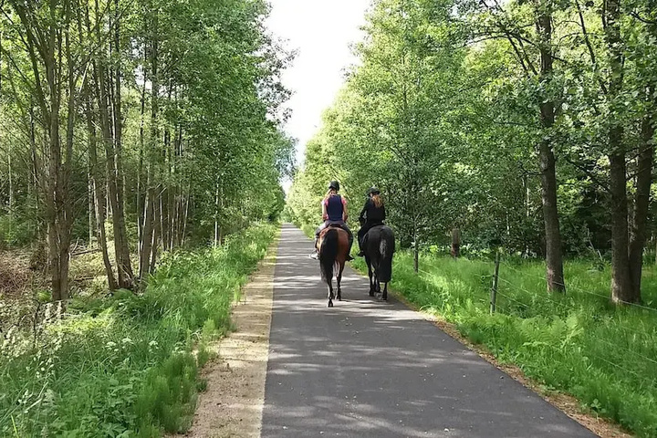 General 6 of 50