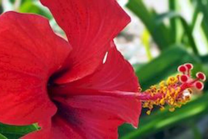 Property Grounds 103 of 106