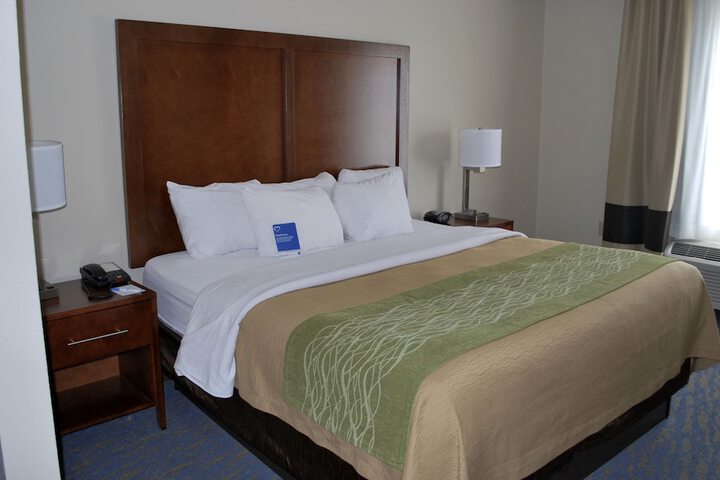 1 King Bed (24 of 25)