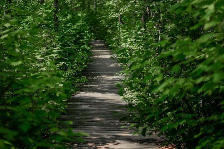 Outdoor Activities 43 of 76