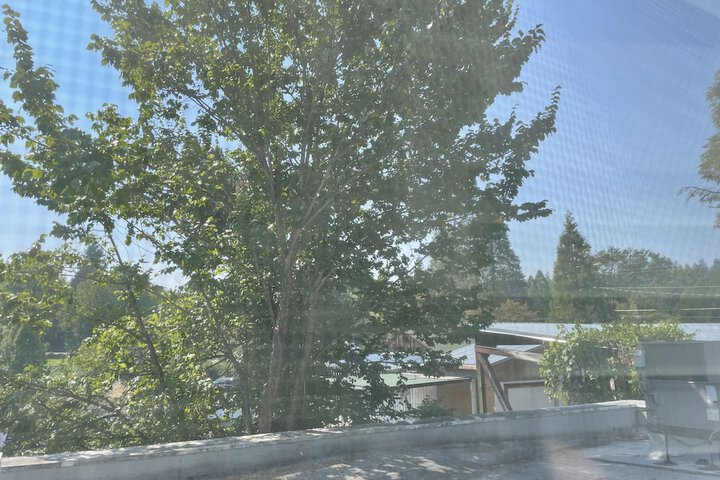 View from room