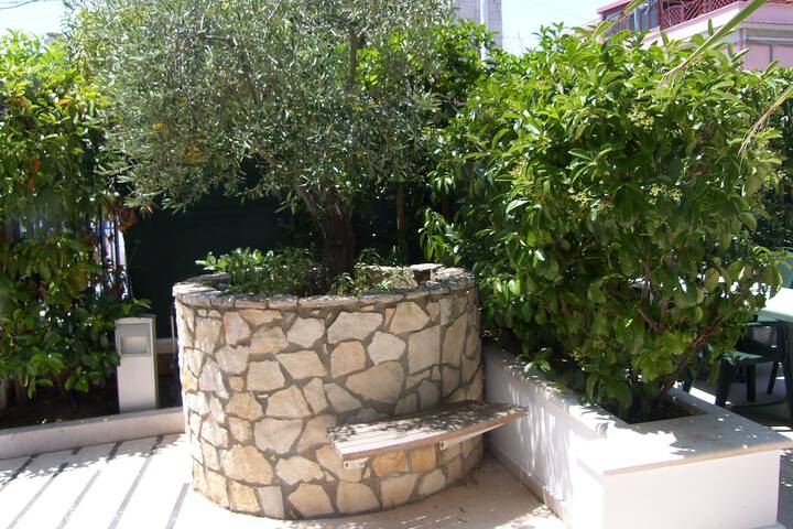 Hotel Exterior 43 of 49