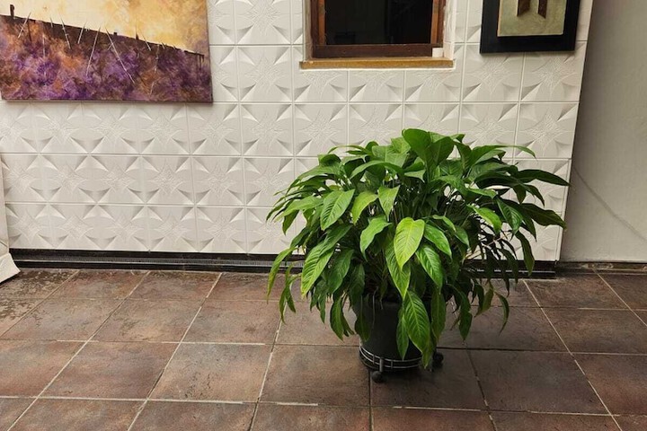 Hotel Interior 10 of 91