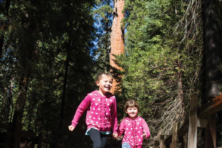 Hiking