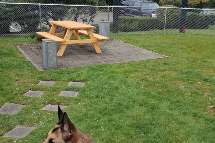 Pet-friendly amenities