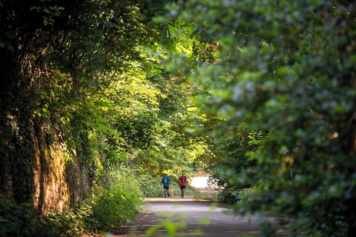 Hiking