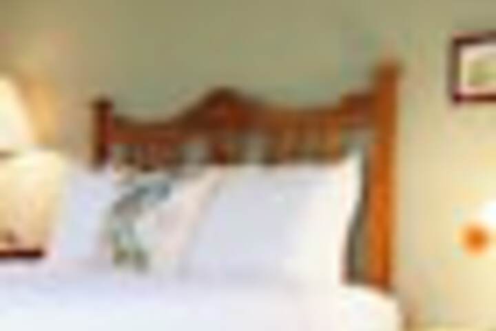 Room 20 of 42