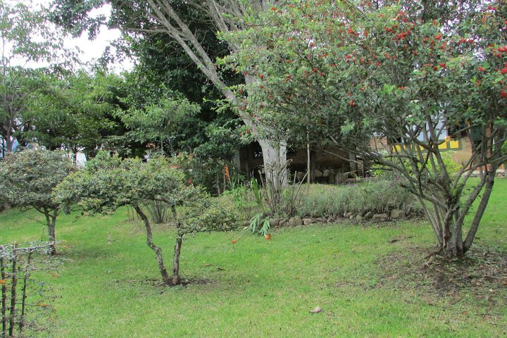 Property Grounds 82 of 102
