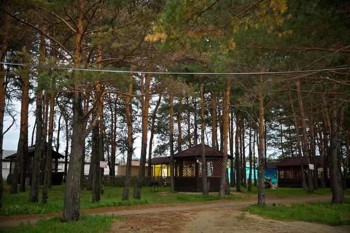Property Grounds 52 of 57