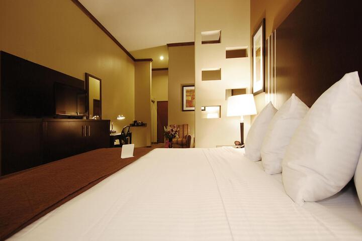 Accessible Suite 1 King Bed Accessible Communicatassist Roll in Shower Sofa Bed Breakfast (1 of 32)